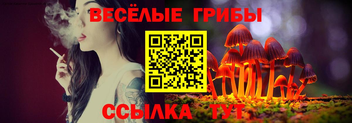 Псилоцибиновые грибы Psilocybe Удомля
